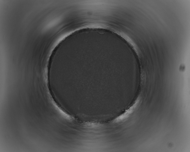 X0000101140935200807071122