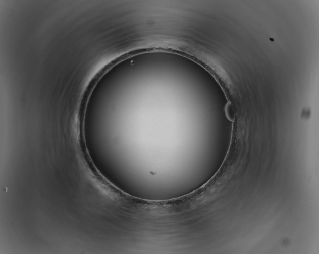 X0000101140936200807071122