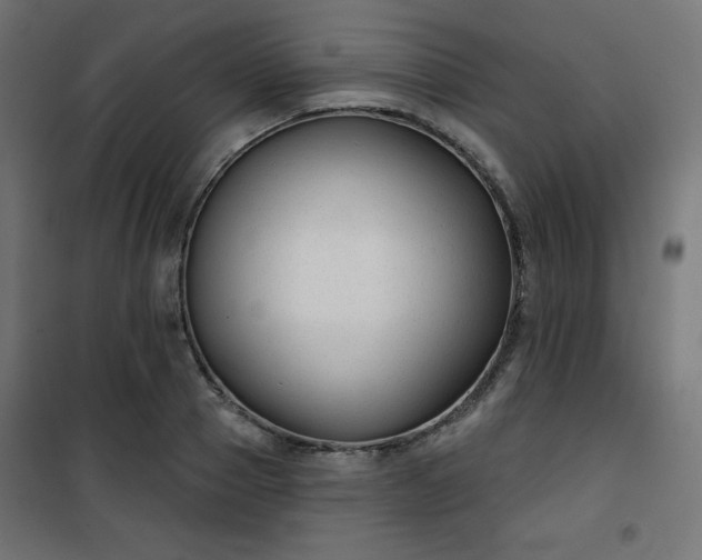 X0000101140937200807071122