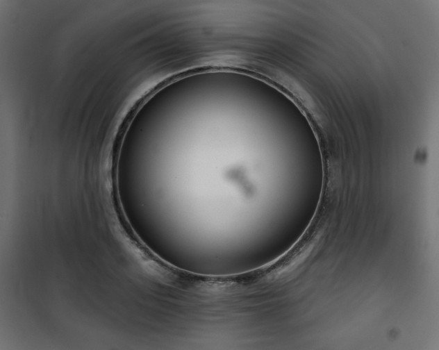 X0000101140939200807071122