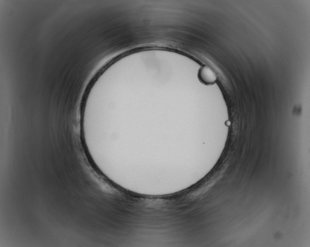 X0000101140940200807071122