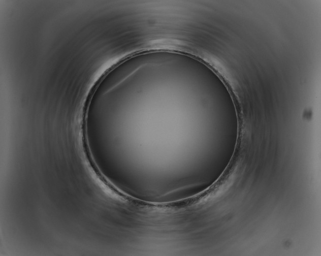 X0000101140941200807071123