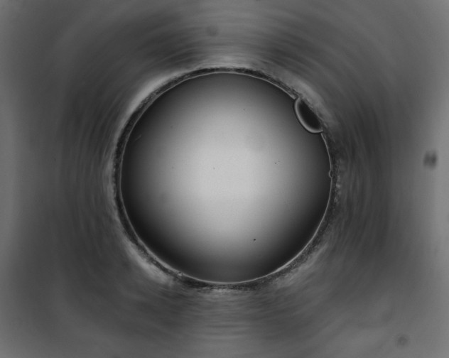 X0000101140942200807071123