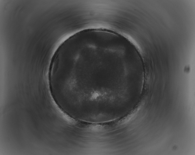 X0000101140943200807071123