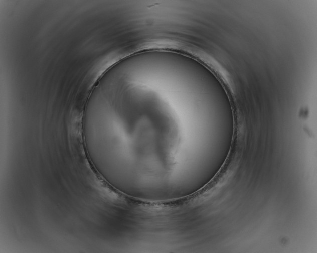 X0000101140945200807071123