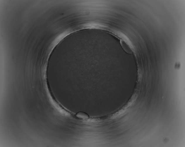 X0000101140946200807071123