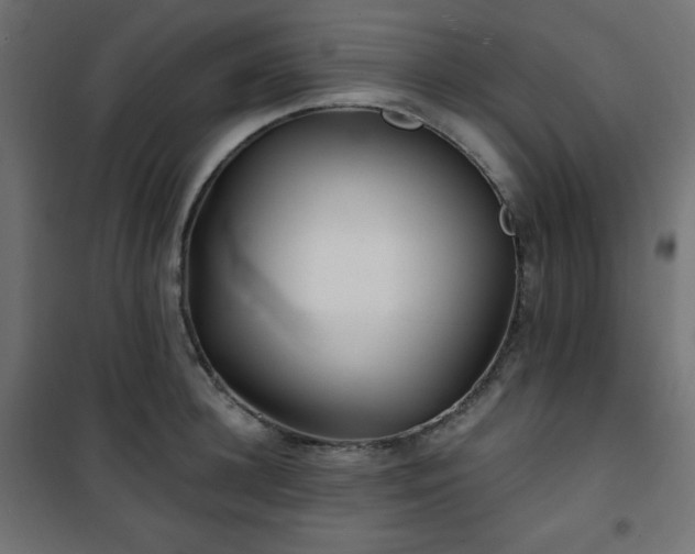 X0000101140948200807071123