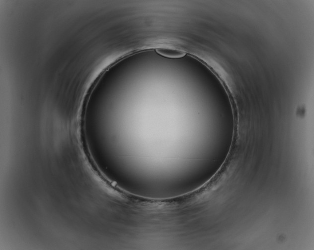 X0000101140949200807071123