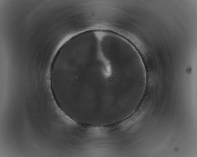 X0000101140950200807071123