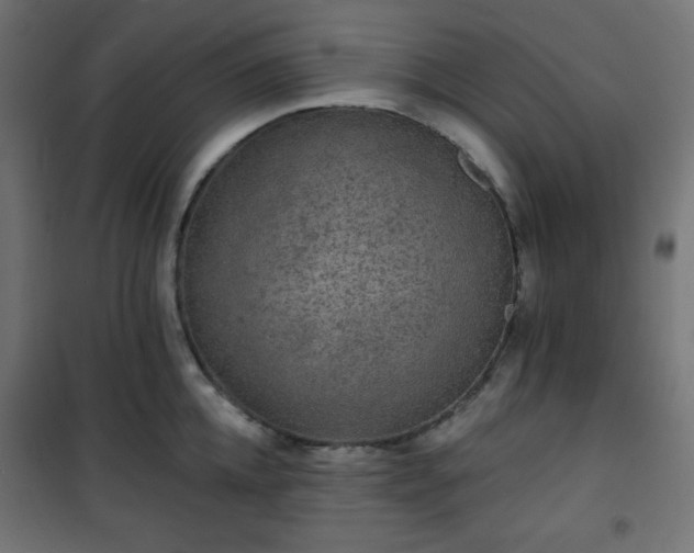 X0000101140952200807071123