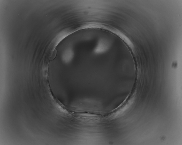 X0000101140953200807071123