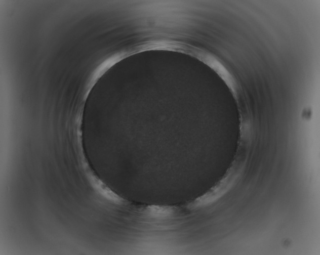 X0000101140954200807071123