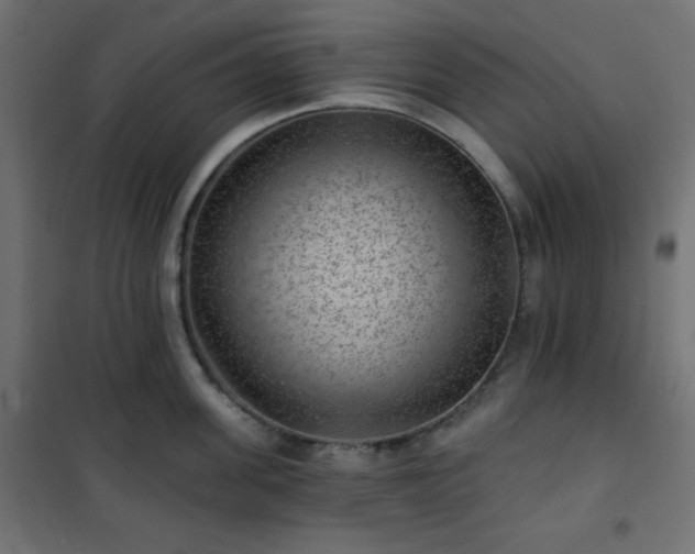 X0000101140955200807071123