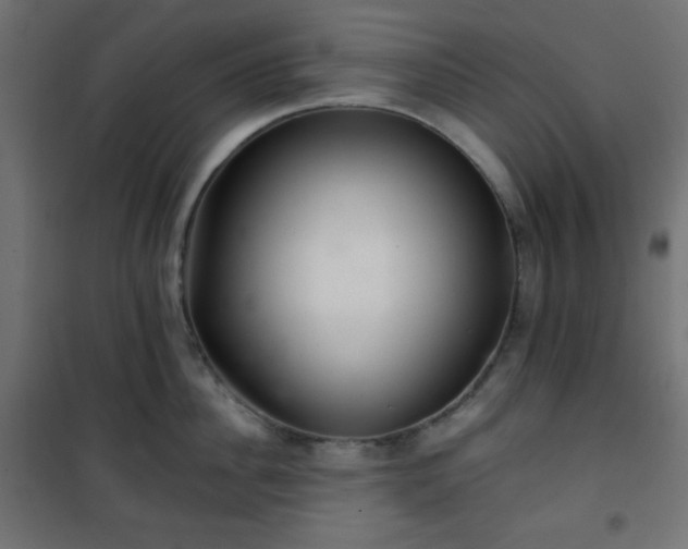 X0000101140956200807071123