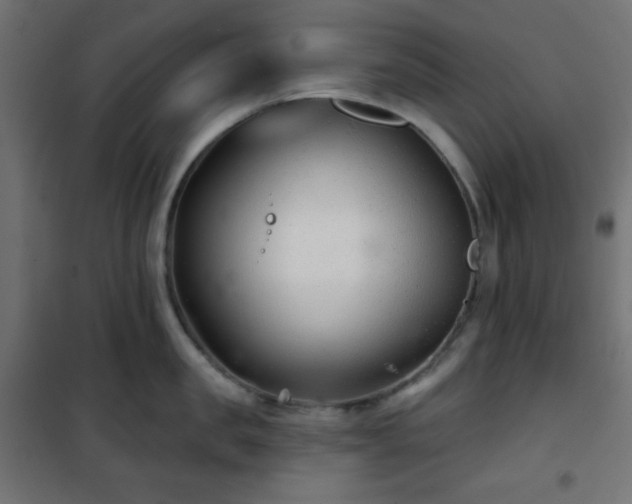 X0000101140957200807071123