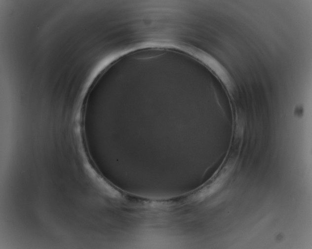 X0000101140958200807071123