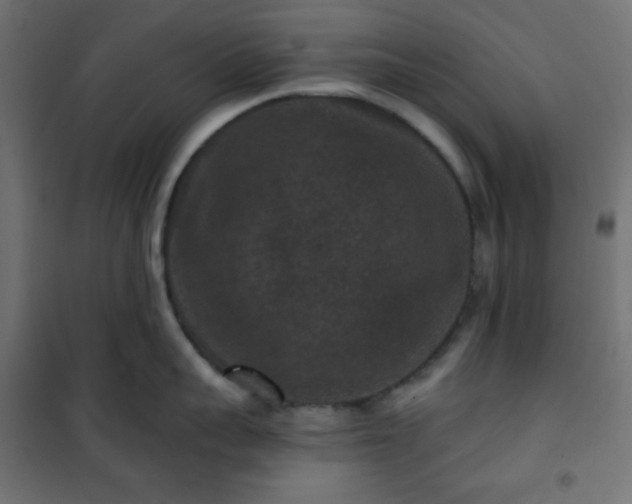 X0000101140959200807071123