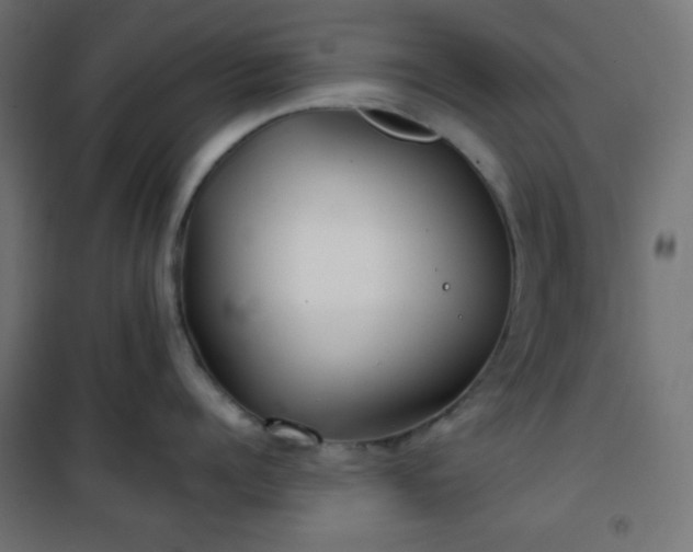 X0000101140960200807071123