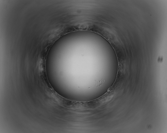 X0000101140962200807071122