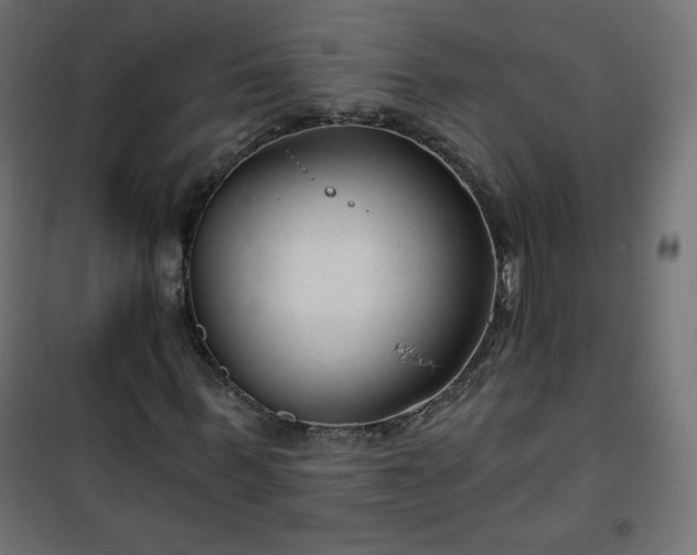 X0000101140963200807071122