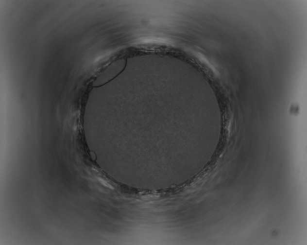 X0000101140965200807071122