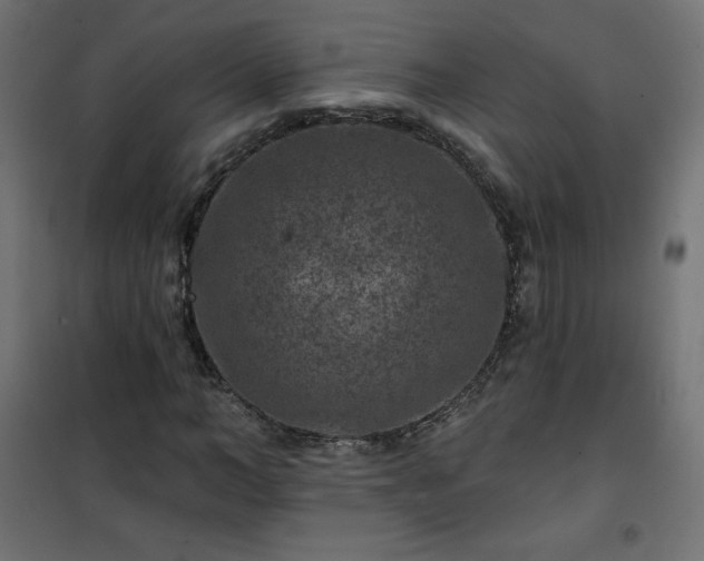 X0000101140966200807071122