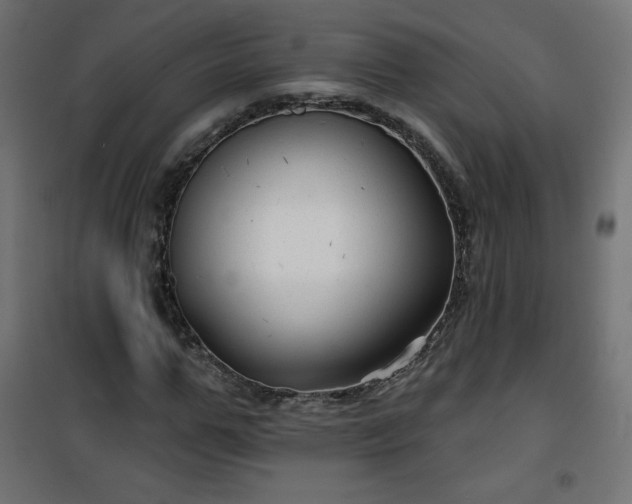 X0000101140967200807071122