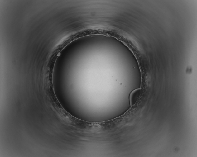 X0000101140968200807071122