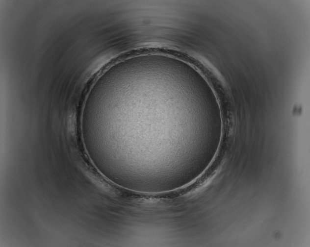 X0000101140969200807071122