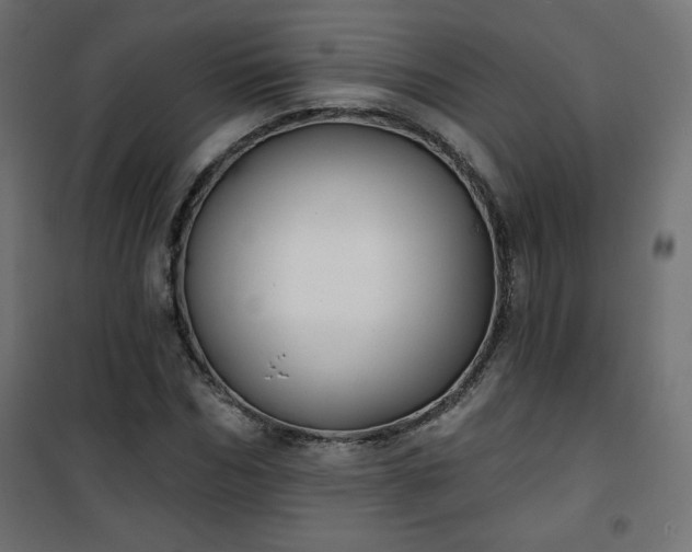 X0000101140970200807071122