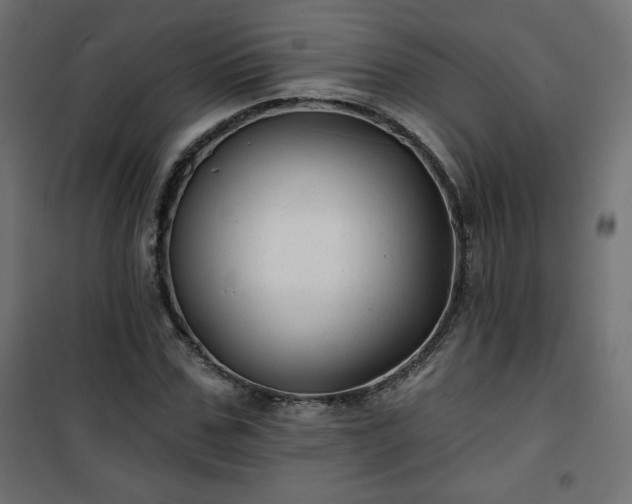 X0000101140971200807071122