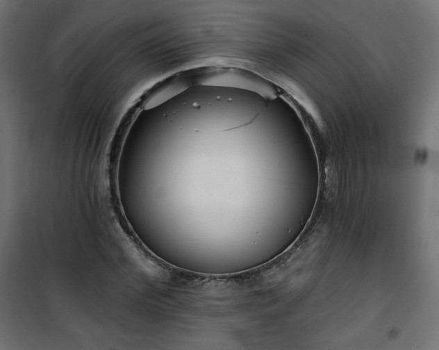 X0000101140972200807071122