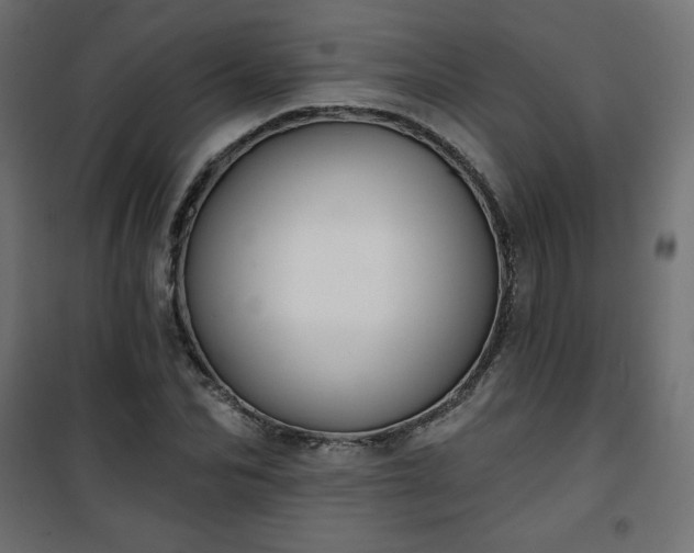 X0000101140974200807071122