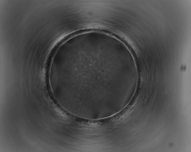 X0000101140975200807071122