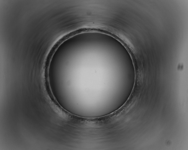 X0000101140976200807071122