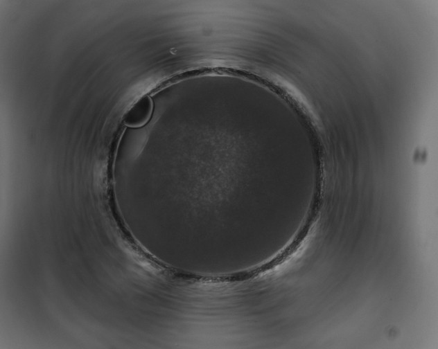 X0000101140977200807071122