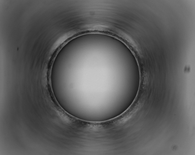 X0000101140978200807071122