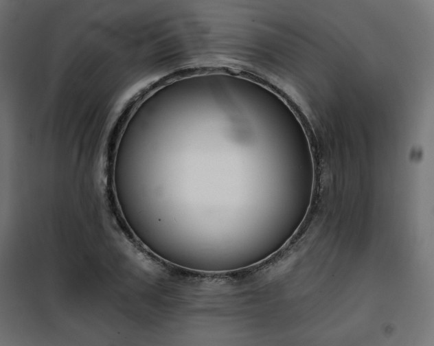 X0000101140979200807071122