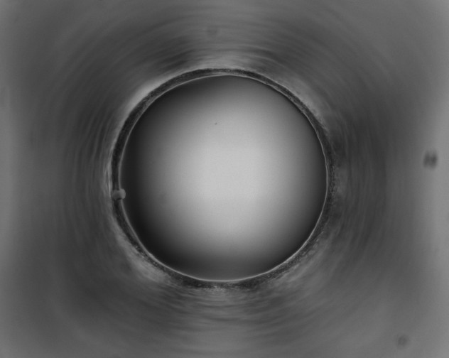 X0000101140980200807071122