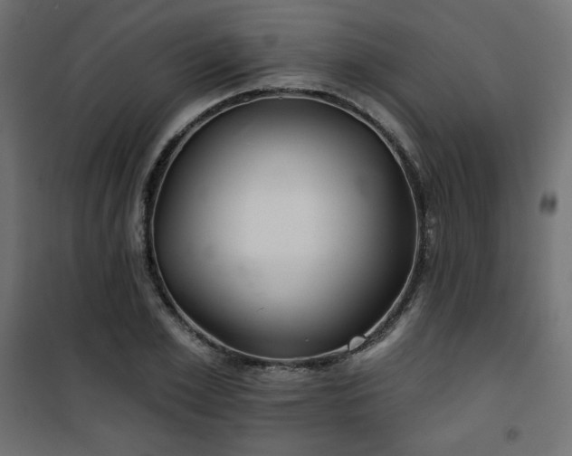 X0000101140981200807071122