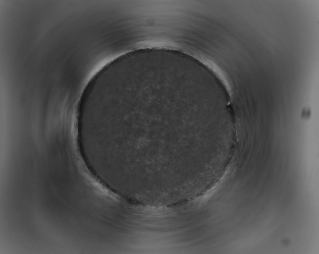 X0000101140983200807071122