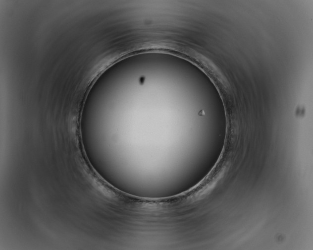 X0000101140985200807071122