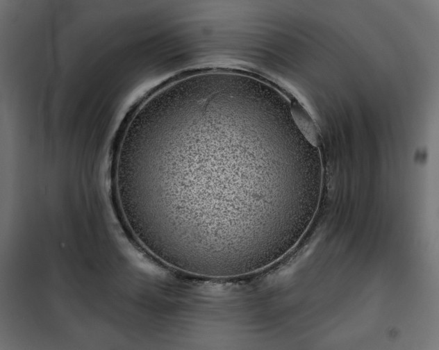 X0000101140987200807071122