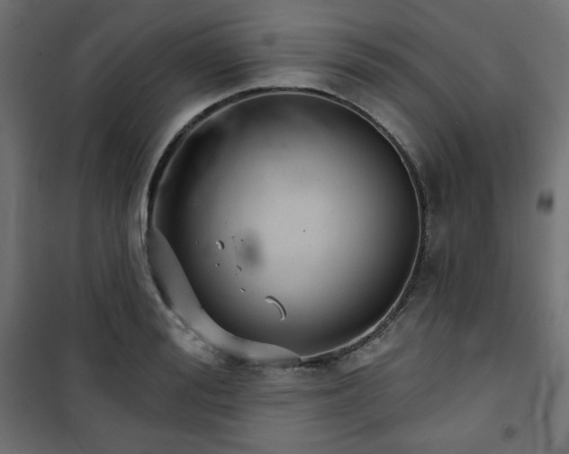 X0000101140988200807071122