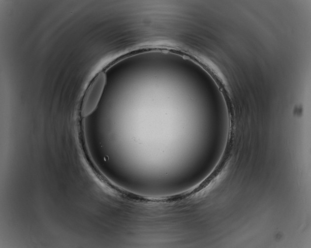 X0000101140989200807071122