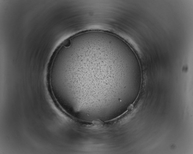 X0000101140991200807071122