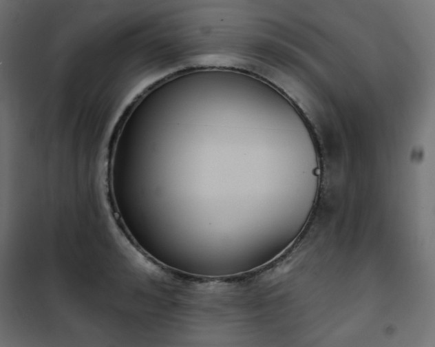 X0000101140992200807071122