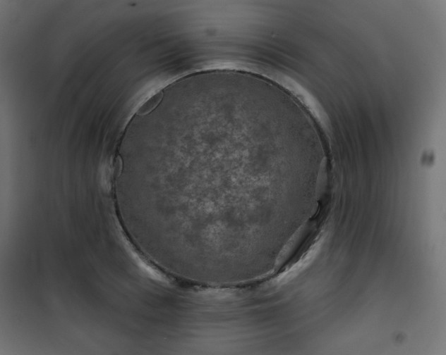 X0000101140993200807071122