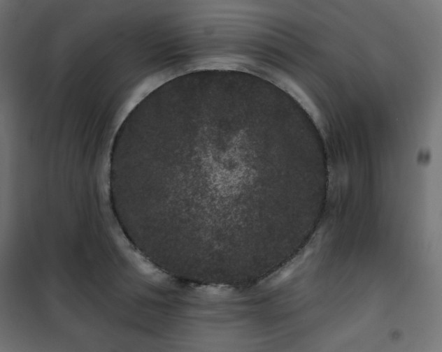 X0000101140994200807071122