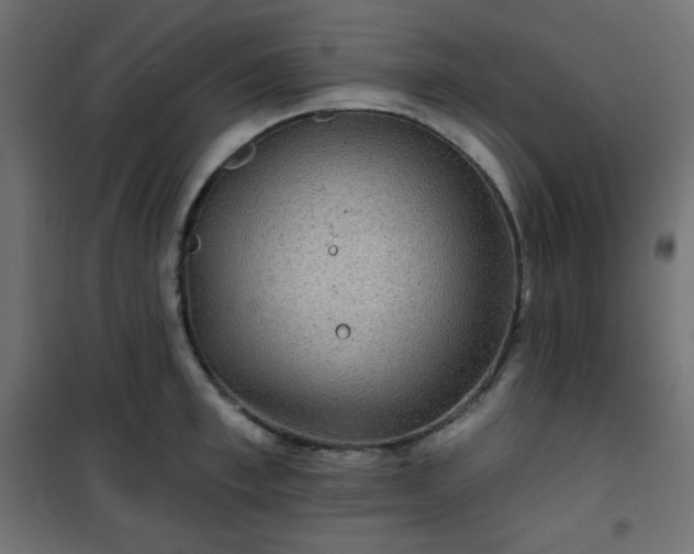 X0000101140997200807071122